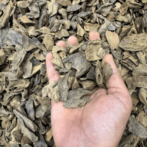 بابوا غينيا الجديدة ( الاسترالي )