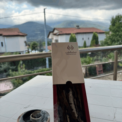 جرميد صبنجة ( ثلاث تولات )