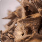 مراجعة مي الحطاب لمنتج بابوا غينيا الجديدة ( الاسترالي )